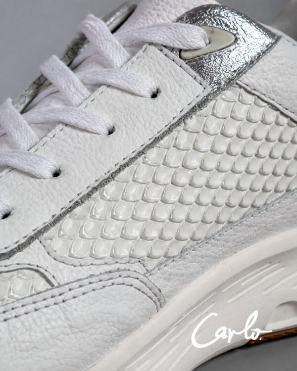 New Celedon Blanco — foto 3